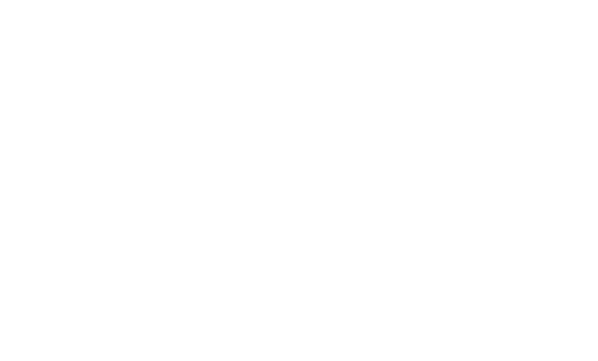 tp100 technical